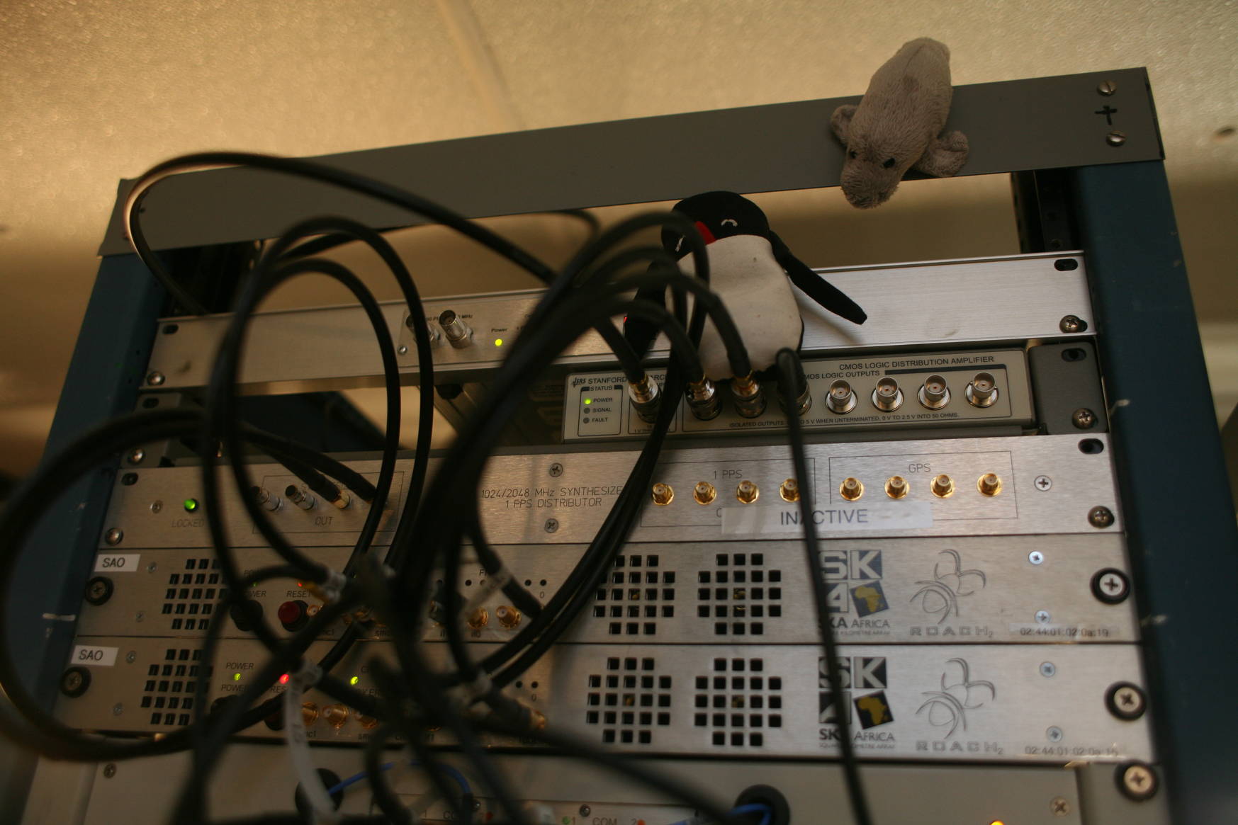 April 2017: The two mascots Pete and Debbie checking out the signal cabeling of EHT.